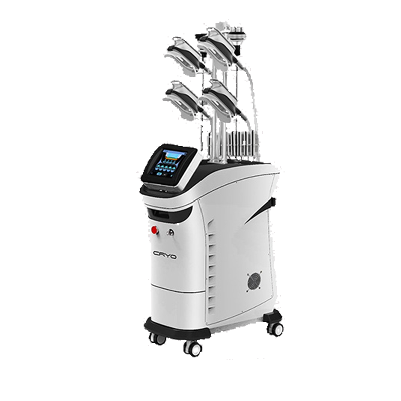 Professional 5 Handles 360 Cryolipolysis Cavitation RF Lipo Laser Multifunction Machine 8 Interchangeable Cups for Spas Salons